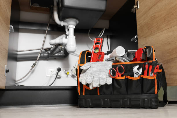 Best Clogged Drain Plumber  in Forsgate, NJ